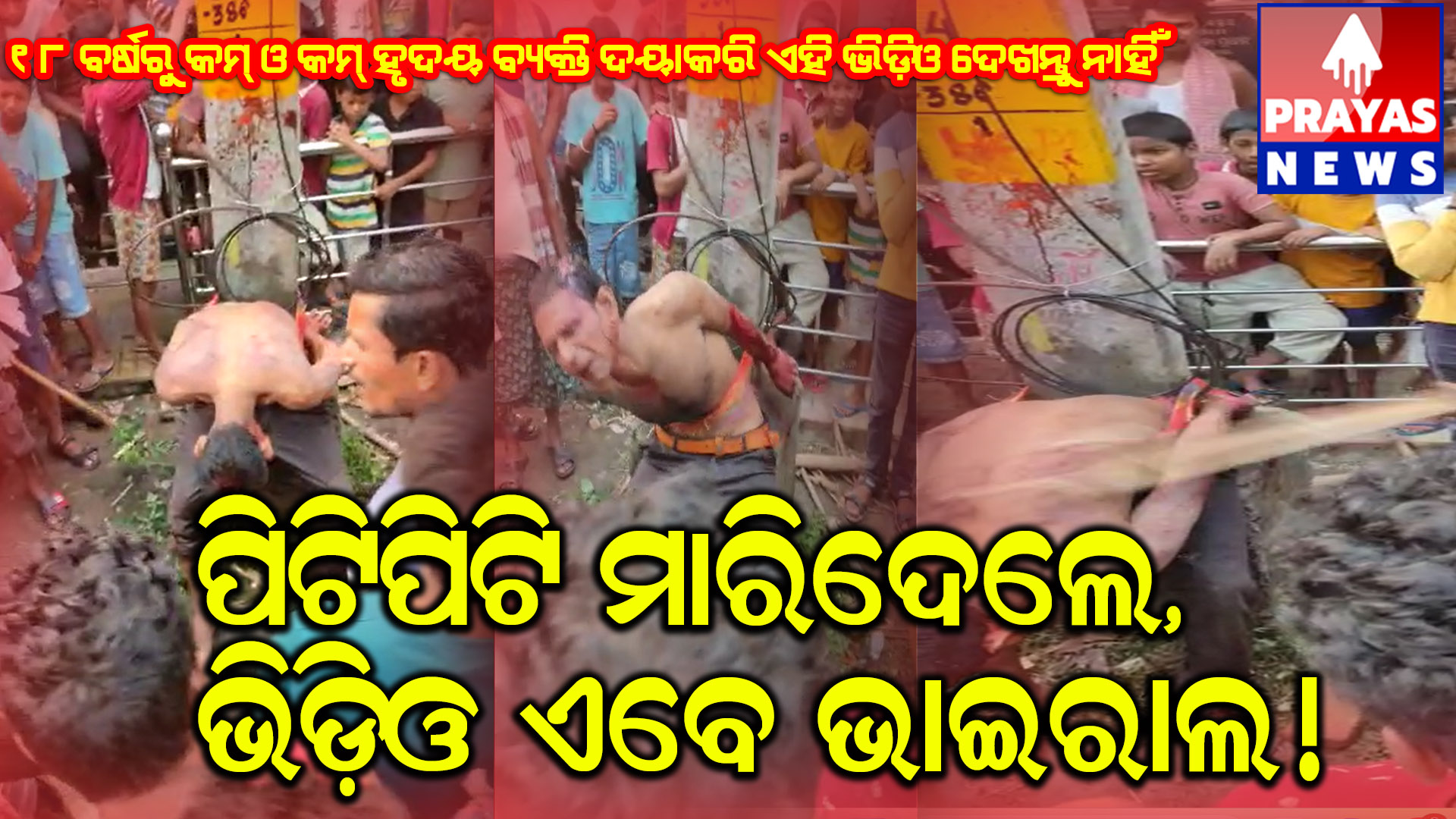  ଗାଁ ଦାଣ୍ଡରେ ପ୍ରଜାକୋର୍ଟ ( ଭାଇରାଲ ଭିଡ଼ିଓ )