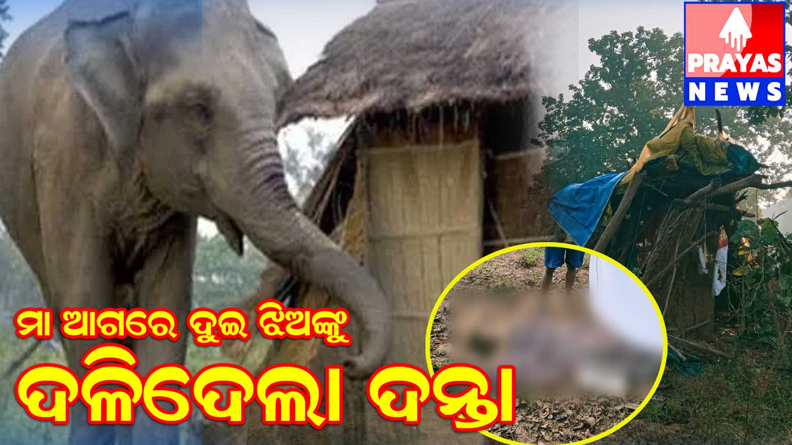 ଦନ୍ତା ନେଇଗଲା ଦୁଇ ଶିଶୁ କନ୍ୟାଙ୍କ ଜୀବନ ଅଳ୍ପକେ ମୃତ୍ୟୁ ମୁଖରୁ ବର୍ତ୍ତିଗଲେ ମାଁ