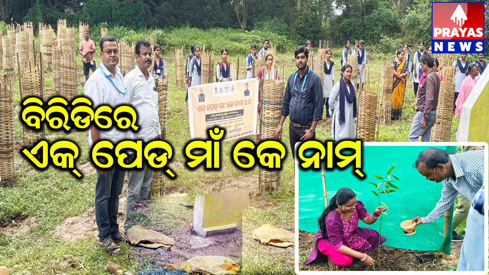 ବିରିଡି ବ୍ଲକରେ ୧୦ହଜାର ୫୦୦ବୃକ୍ଷ ରୋପଣ