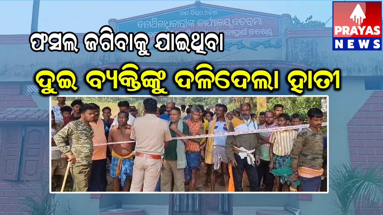 ଫସଲ ଜଗିବାକୁ ଯାଇ ହାତୀ ଆକ୍ରମଣରେ ଦୁଇ ଜଣଙ୍କ ଶୋଚନୀୟ ମୃତ୍ୟୁ