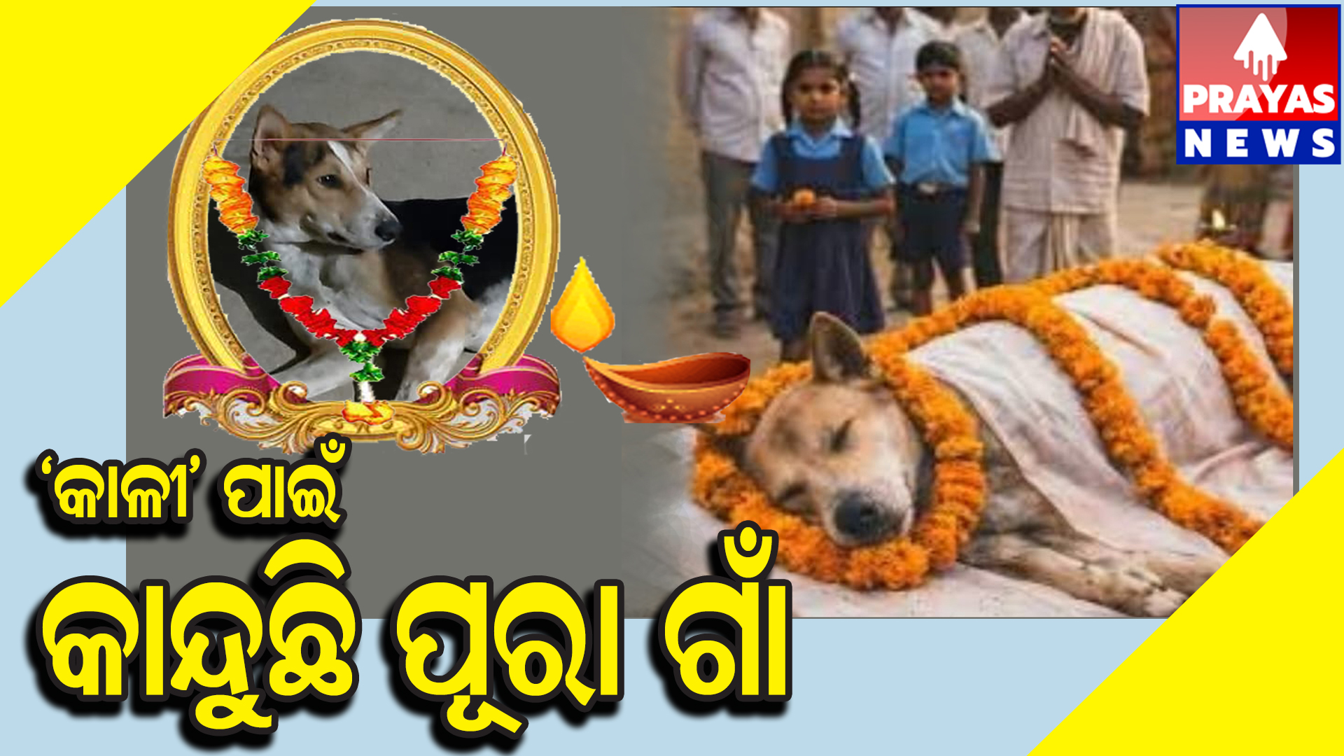  କାଳି ମଣିଷ ନୁହେଁ ସତ, ହେଲେ ନିଜ ଜୀବନ ଦେଇ ପାଲଟିଥିଲା ଉଦାହାରଣ