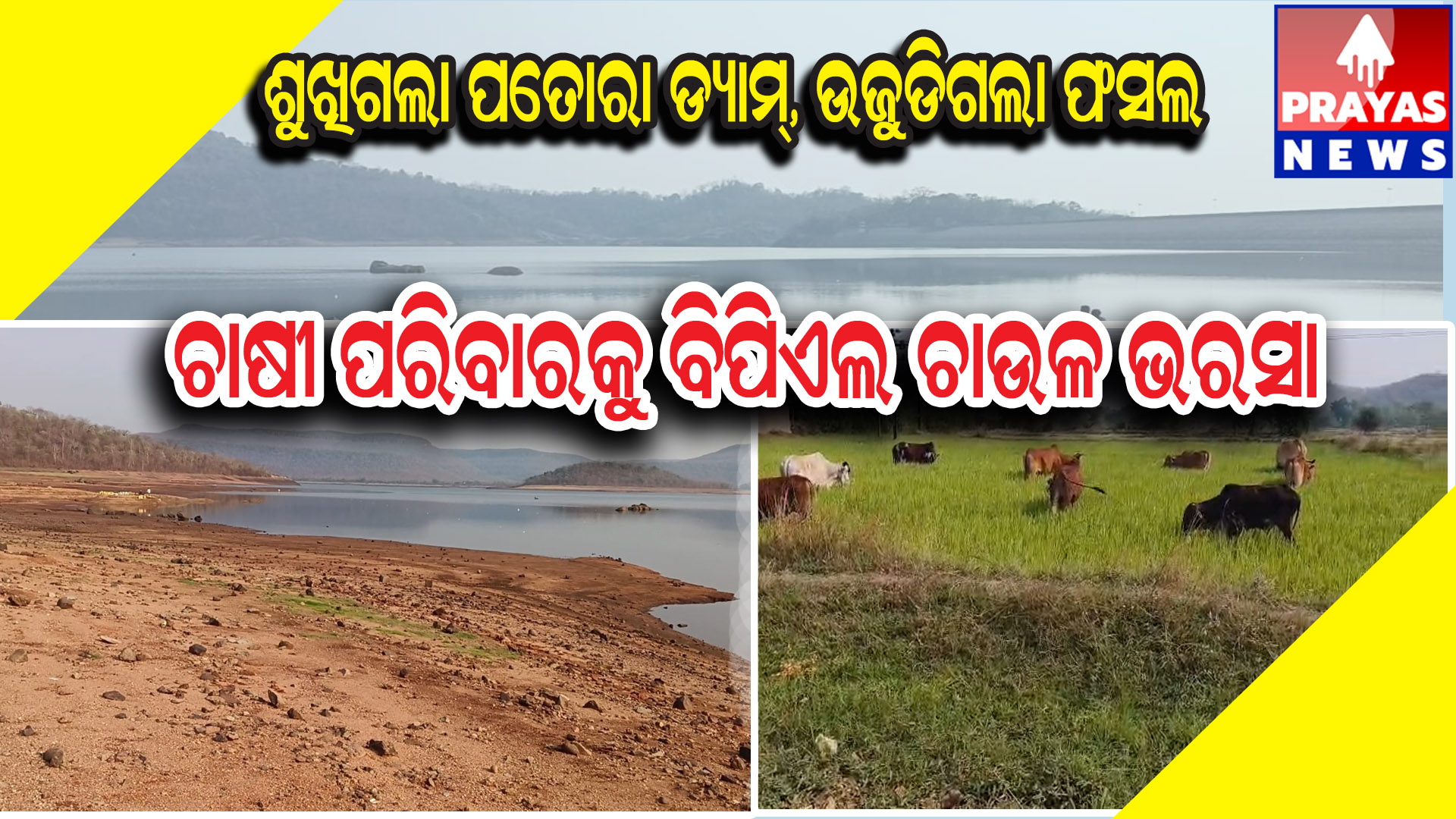  "ଶୁଖିଗଲା ପତୋରା ଡ୍ୟାମ, ଉଜୁଡ଼ିଗଲା ଫସଲ"