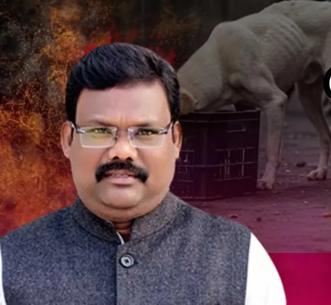 ବୁଲା କୁକୁରଙ୍କୁ ବଳକା‌ ଚିକେନ୍-ମଟନ ମାଂସ ଦିଆଯିବ ନାହିଁ: ଗୋକୁଳ
